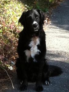 380838_267223676648937_1386117706_n