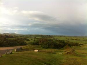 954660_10151849535742975_2031764951_n